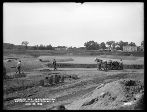 Sudbury Reservoir, Marlborough Brook Filters, artificial Filter-bed No. 12, Marlborough, Mass., Aug. 28, 1899