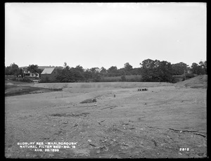 Sudbury Reservoir, Marlborough Brook Filters, natural Filter-bed No. 19, Marlborough, Mass., Aug. 28, 1899