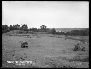 Sudbury Reservoir, Marlborough Brook Filters, natural Filter-bed No. 20, Marlborough, Mass., Aug. 28, 1899