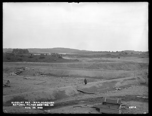 Sudbury Reservoir, Marlborough Brook Filters, natural Filter-bed No. 24, Marlborough, Mass., Aug. 28, 1899