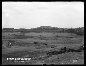 Sudbury Reservoir, Marlborough Brook Filters, natural Filter-bed No. 25, Marlborough, Mass., Aug. 28, 1899