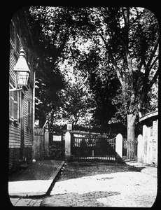 Entrance to Phipps St. Cemetery showing many healthy elms and Lawrence Street gas lamps