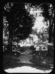 Phipps Street Cemetery showing Harvard Avenue shaded by many healthy elm trees