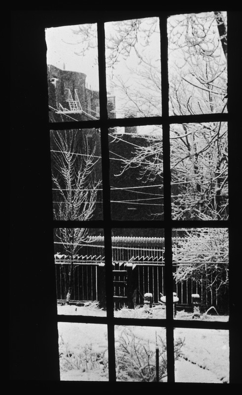 Winter view from kitchen door of St. John's rectory