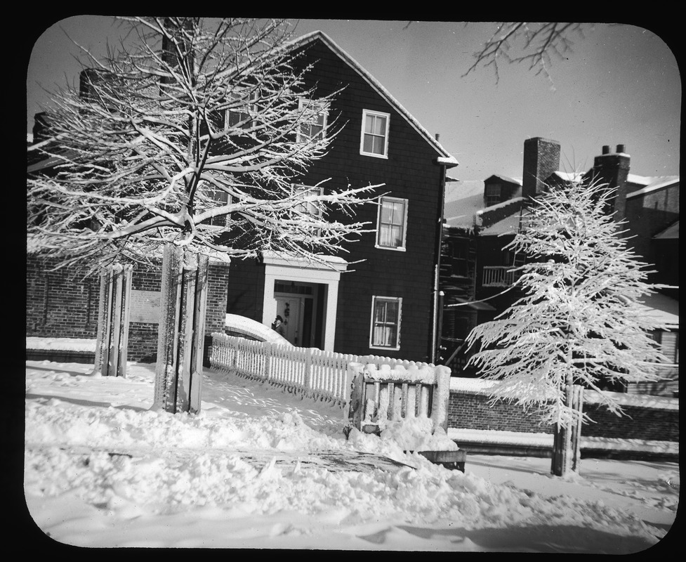 Top of steps in John Harvard Mall. Winter scene, December 1948