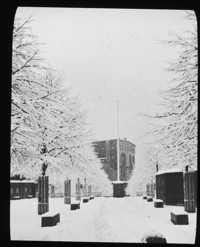 Central walk in Harvard Mall