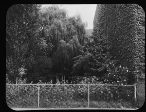 Forest Garden from avenue 1960