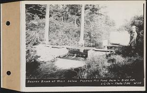 Beaver Brook at weir below Pepper's mill pond dam, Ware, Mass., 8:20 AM, Jun. 2, 1936