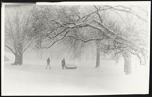 Snow - Public Gardens. Weather Snowstorms 3/29/70
