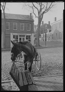 Horse-cart, Nantucket