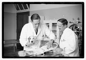 Dr. Dailey Angell Memorial Animal Hospital