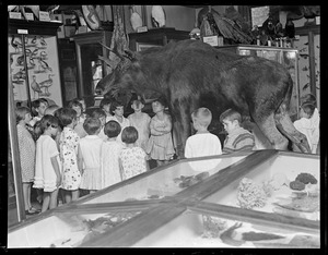 Children looking at taxidermy moose