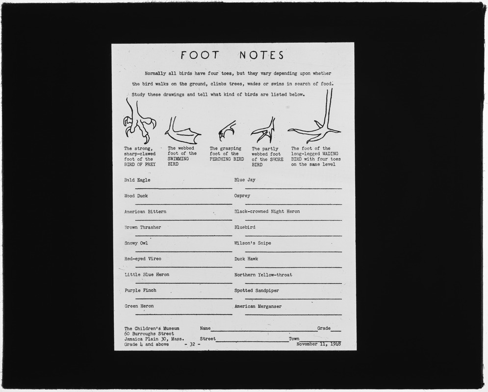 203 Museum Game Foot Notes