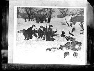 A group on Jamaica Pond with Ducks
