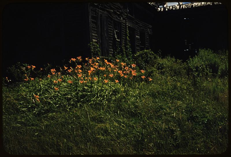 Abandoned farm, Lincoln, Maine