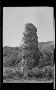 Brick tower overgrown with grass