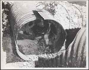 Pipe on downstream side of dam showing four bands and crack in pipe