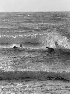 Surfers at Horseneck Beach, Westport, MA