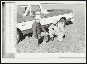 Undated -- Oklahoma Drought -- Southwestern Oklahoma wheat growers Ray Goforth, left, and Clarence Krigbaum, kneel in the dust and stubble of a wheat field that won't be harvested this year. A drought has hit southwestern Oklahoma hard, reviving memories of the Dust Bowl and the "dirty thirties."