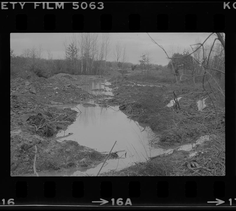 Flooding of brush and broken branches