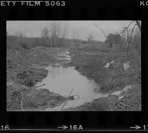 Flooding of brush and broken branches