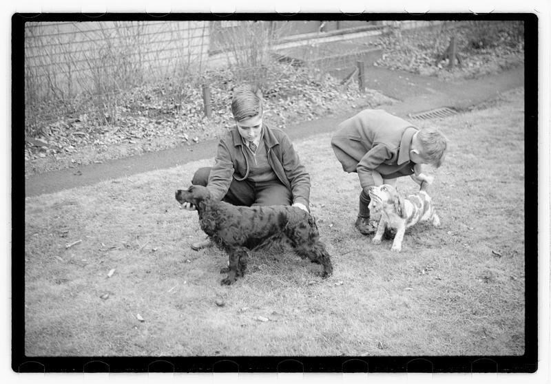 Idahurst Kennels