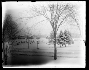 Boyden Park in winter snow
