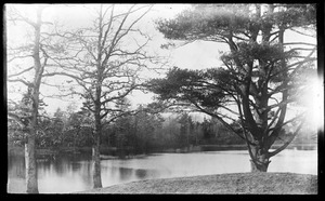 Carver's Pond