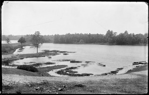 Carver's Pond