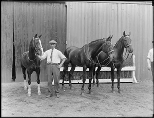 Three horses and caretaker, Brookline Riding Stable