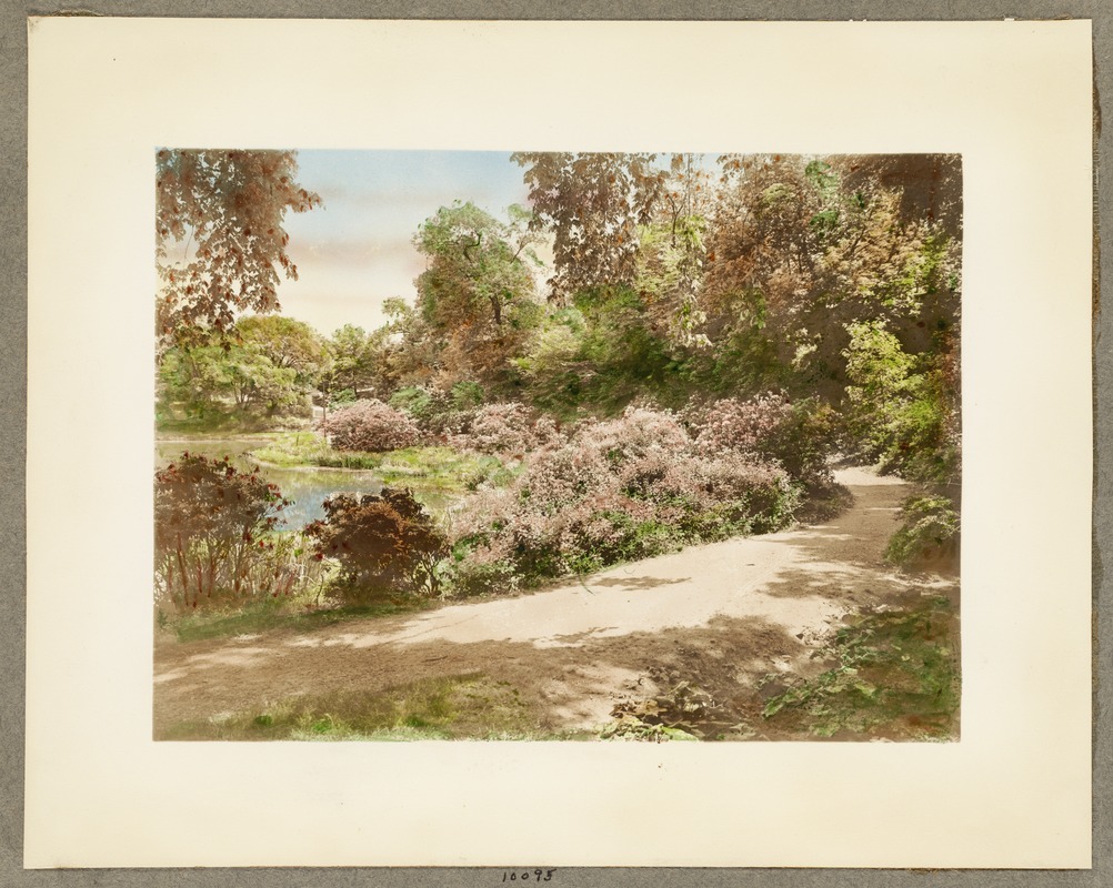 Ward's Pond from spring water rock