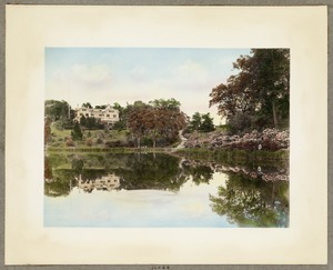 Ward's Pond