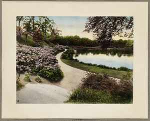 Ward's Pond