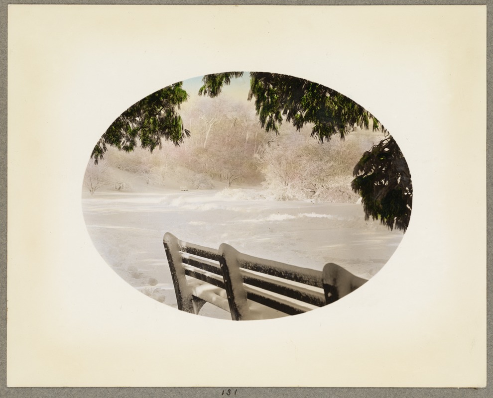 Arnold Arboretum, bench near gate