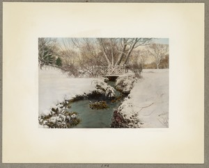 Shaw's Brook