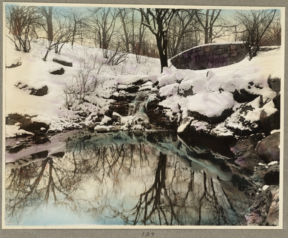 Ward's Brook pool