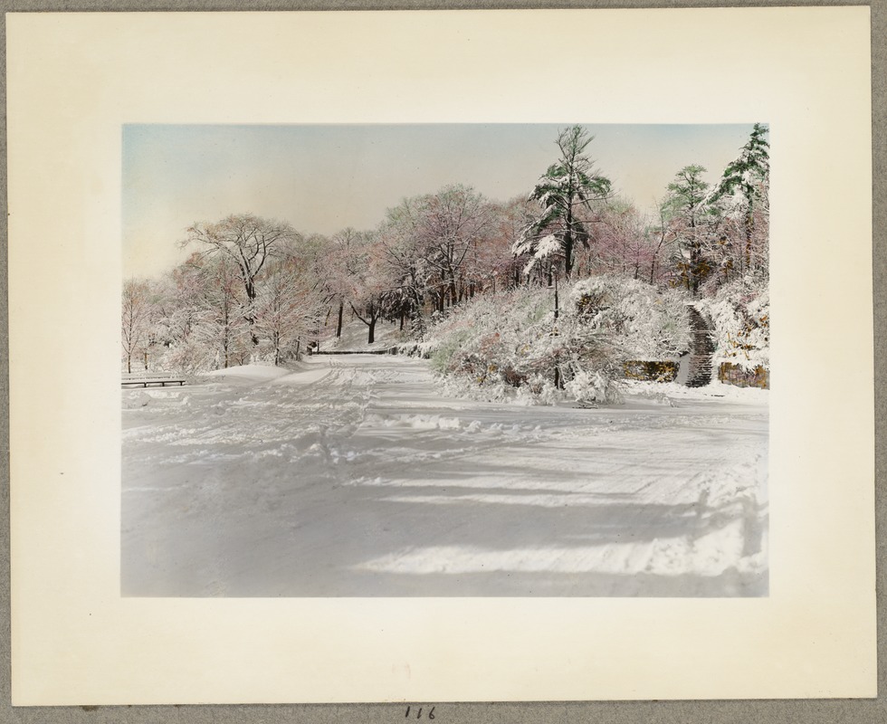 Perkins Street & Chestnut Street, Jamaica Plain