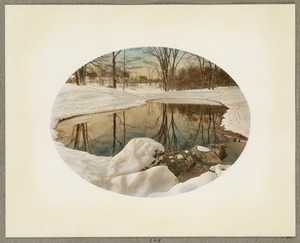Willow Spring Pond