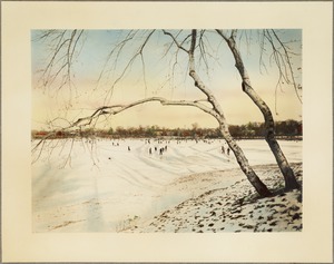 Skating on Jamaica Pond, taken from the cove