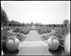 Rose garden, Franklin Park