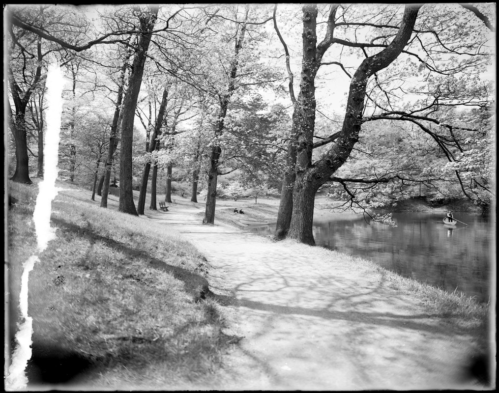 Jamaica Pond view