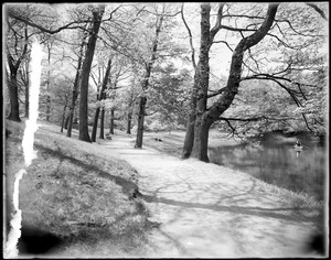 Jamaica Pond view