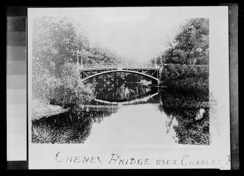 “Cheney” Bridge over the Charles River