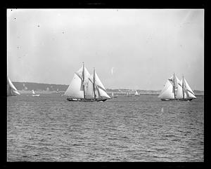 Fishing schooners