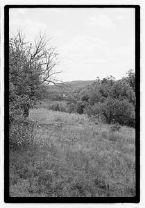 Trees and bushes