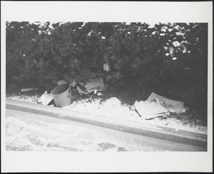 Litter among hedges