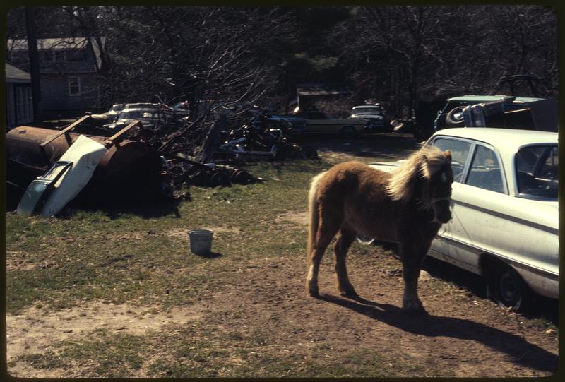 Auto junk yard, Marion, Mass. Digital Commonwealth