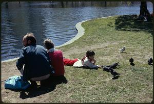 Public Garden/park in the heart of city