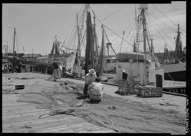 Gloucester, marine