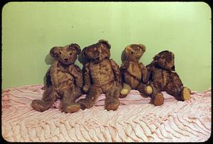 The 4 bears